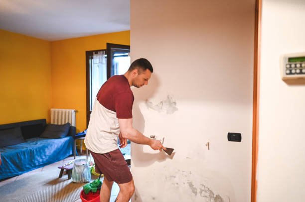 Best Emergency Mold Remediation in Henderson, GA